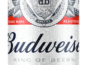 Budweiser beer, American lager, iconic beverage, refreshing taste, Cerveza Budweiser 269 Ml 24 Unidades PNG