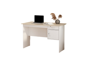 office desk, modern workspace, minimalist furniture, home office setup, Executive Board Table PNG