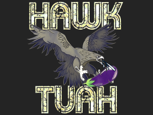 hawk, bird of prey, graphic design, wildlife illustration, Hawk Tuah PNG