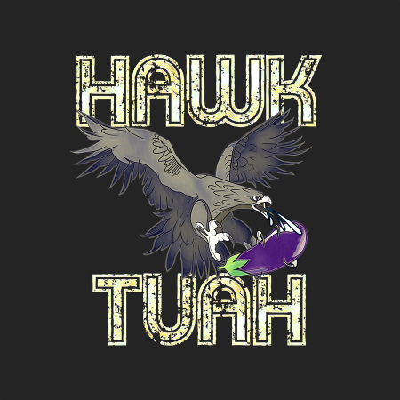 hawk, bird of prey, graphic design, wildlife illustration, Hawk Tuah PNG