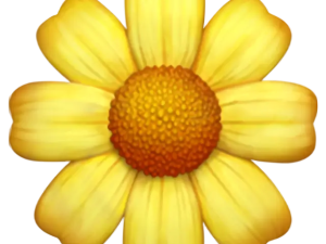 yellow flower, blooming daisy, floral symbol, nature icon, Marguerite Emoji PNG