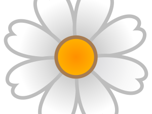 daisy flower, white petals png, yellow center, botanical illustration