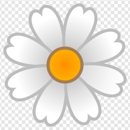 daisy flower, white petals png, yellow center, botanical illustration