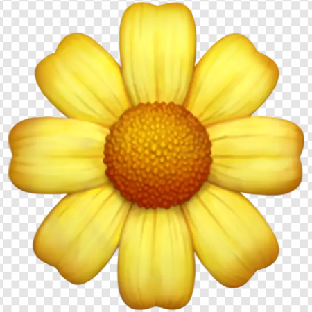 yellow flower, blooming daisy, floral symbol, nature icon, Marguerite Emoji PNG