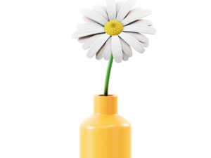 daisy flower, yellow vase, home decor, floral arrangement, Marguerite Emoji PNG