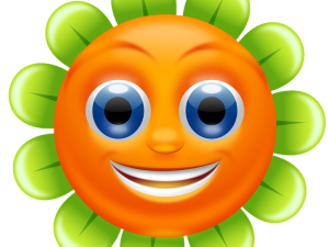 smiley sun, cheerful flower, cartoon character, happy emoji, Marguerite Emoji PNG