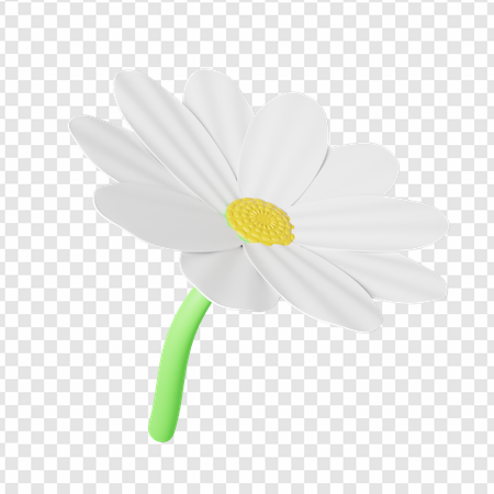 daisy flower, white petals, yellow center, green stem, Marguerite Emoji PNG