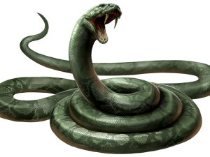 mythical serpent, coiled snake, fierce reptile, fantasy creature, Master Viper PNG