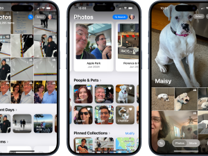 photo gallery, mobile app interface, pet photos, user-friendly design, iOS 18 PNG