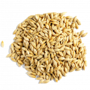 Descarga gratuita de cebada grano PNG
