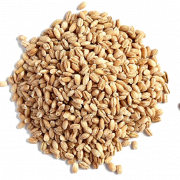 Imagen de png de grano de cebada