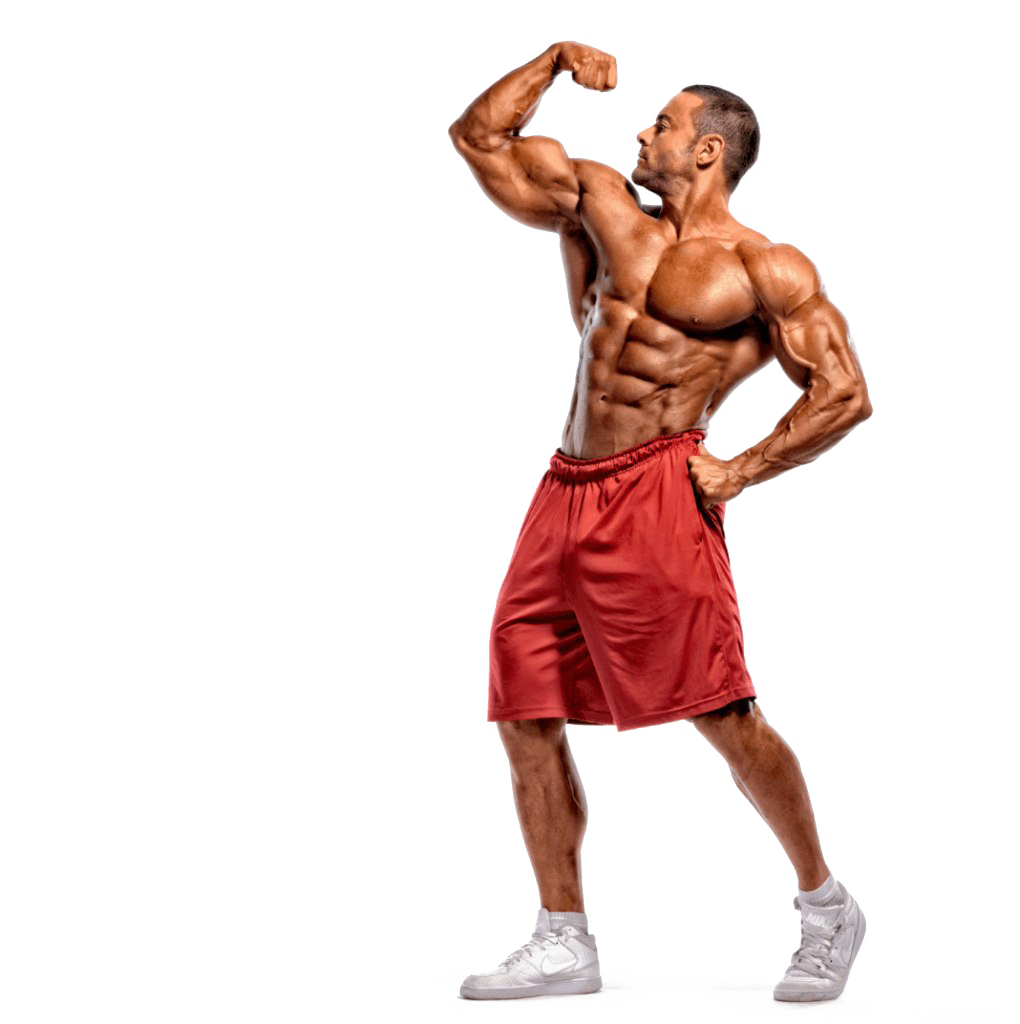 Bodybuilding Transparent - PNG All | PNG All