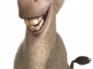 Donkey PNG Photo