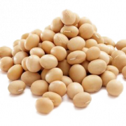 Soybean PNG Image HD