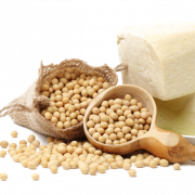 Soybean png pic