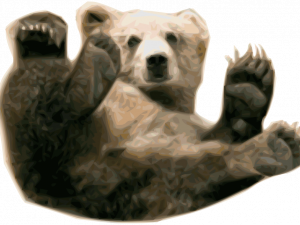 Bear PNG 13