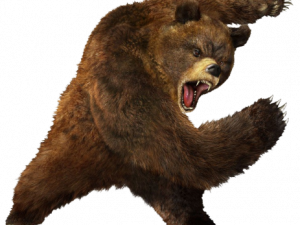 Bear PNG 5