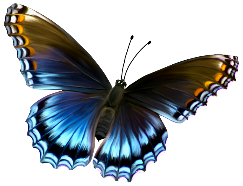 Butterfly PNG Transparent Images - PNG All