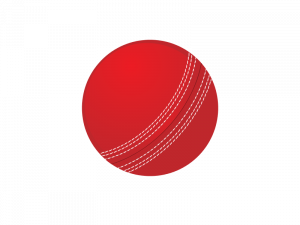 Image PNG gratuite de la balle de cricket
