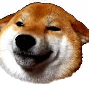Doge Head Free Download PNG | PNG All