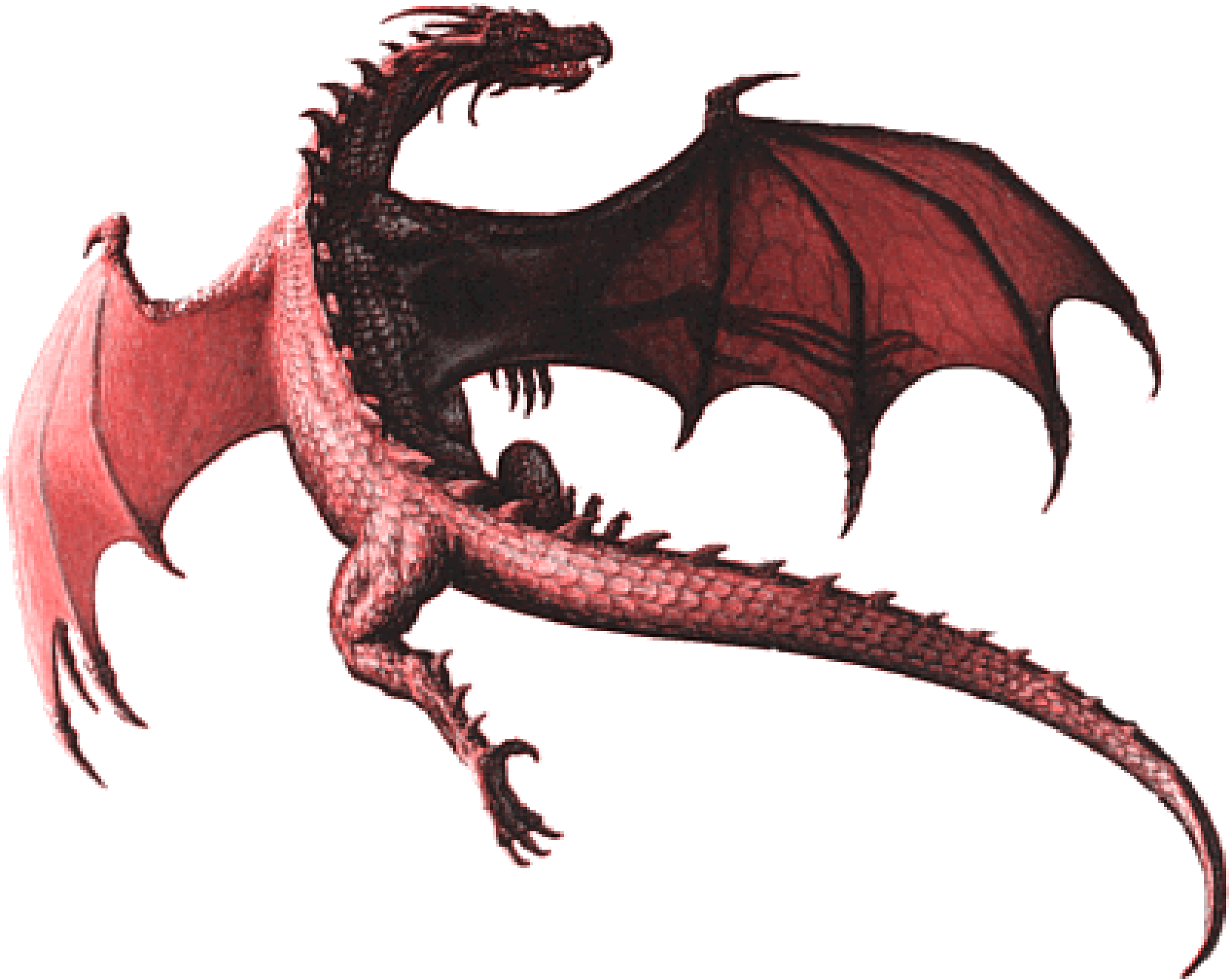 Dragon PNG 2 | PNG All