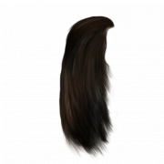Cheveux png 12