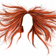 Cheveux png 9