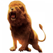 Lion png transparent