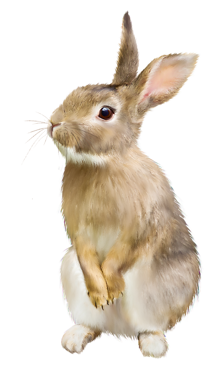 Bunny Clipart Issue Fast Jumping Rabbit Png Transparent Png 1152570 ...