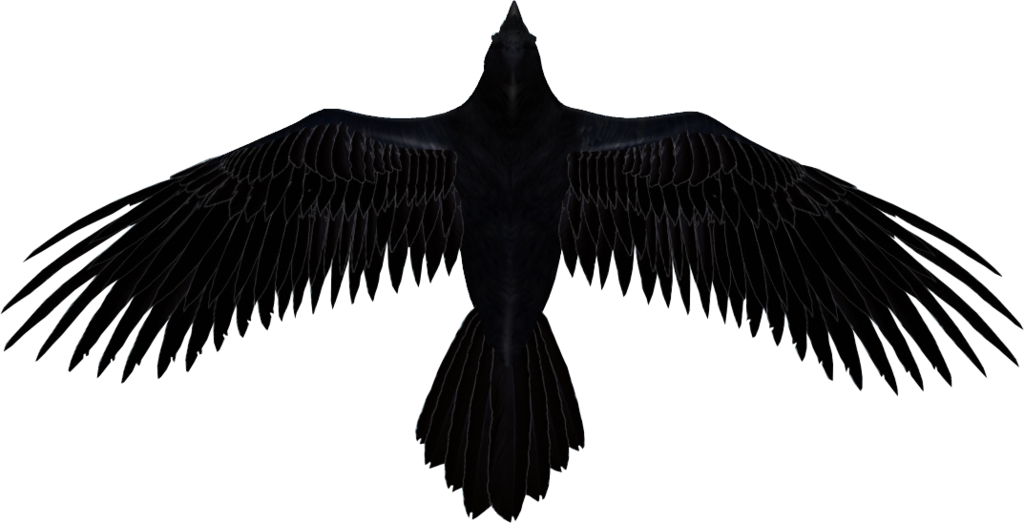 Raven Silhouette Png