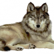 File Wolf png