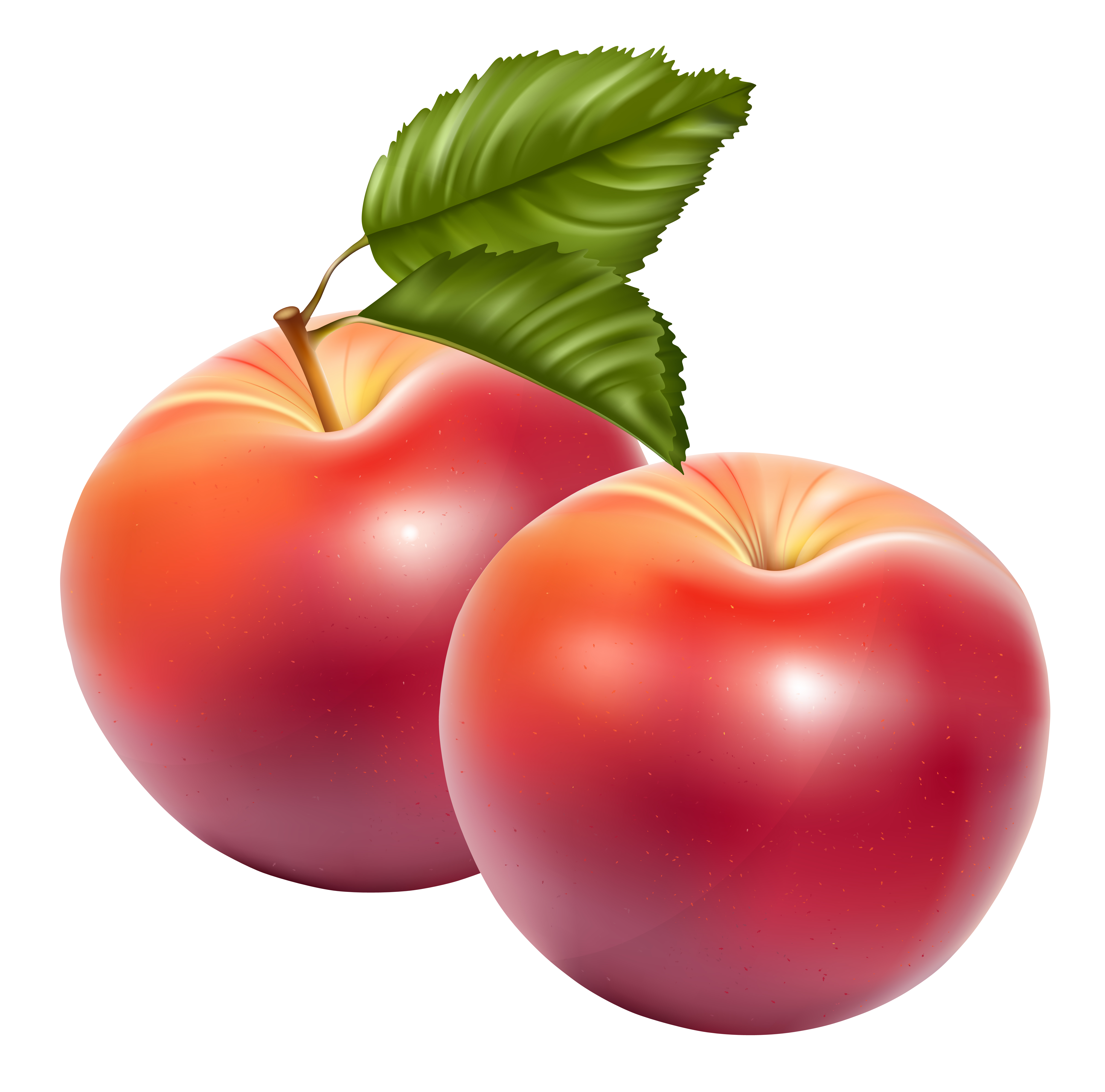 ภาพแอปเปิ้ลผลไม้ PNG
