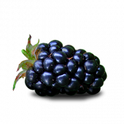 Blackberry Fruit PNG -Datei