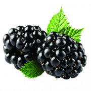 Blackberry Fruit PNG Bild