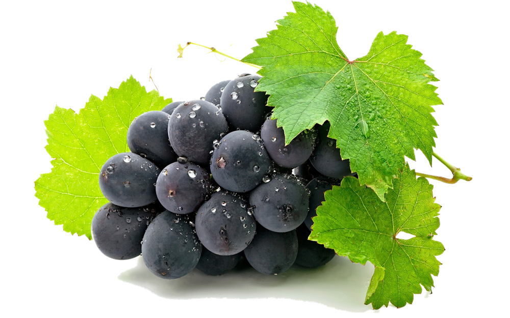 Grape png hd - PNG All
