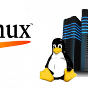 Linux Hosting PNG รูปภาพ