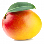 Mango PNG HD