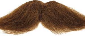 Moustache Free Download PNG