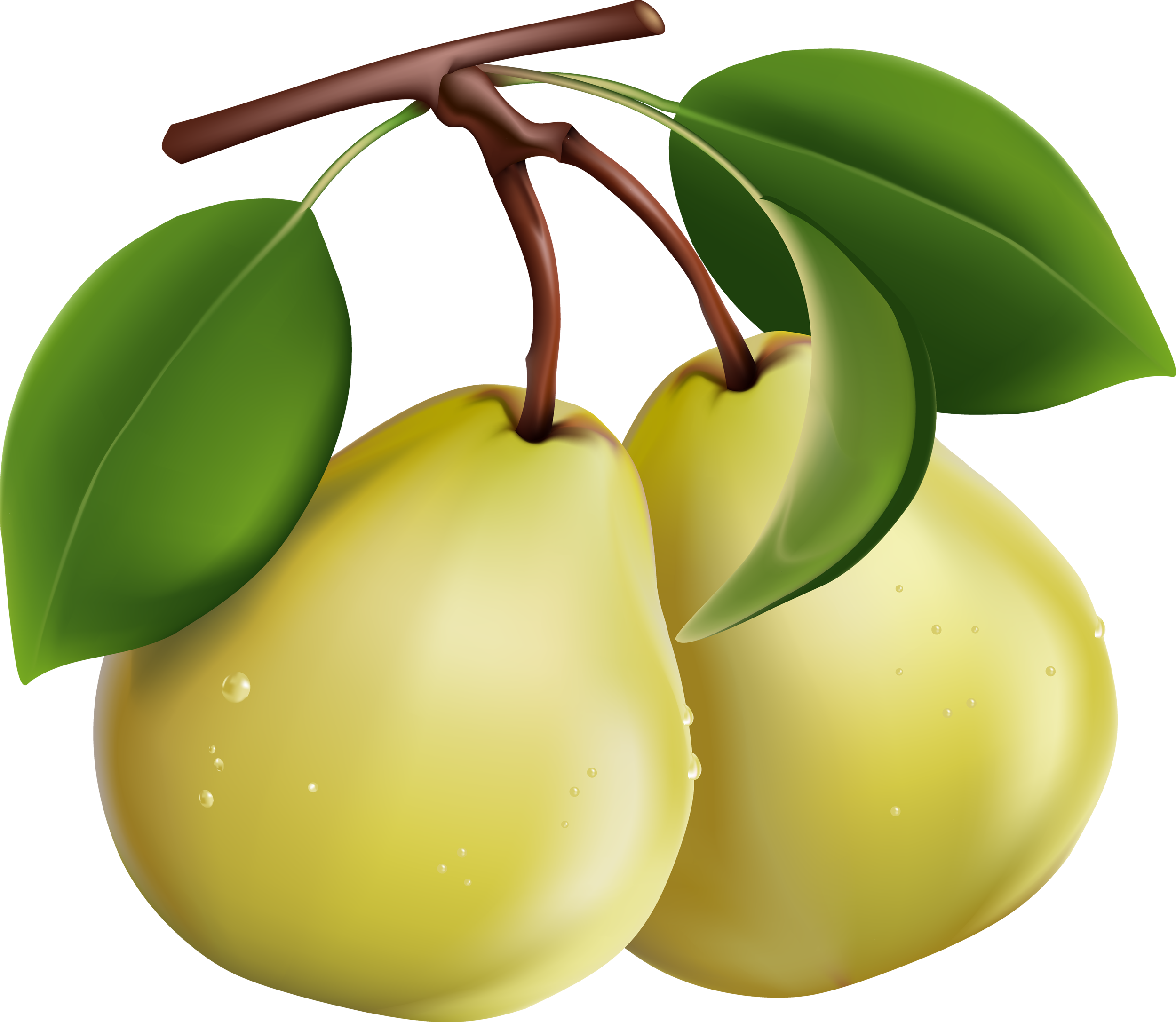 Pear Png All Png All