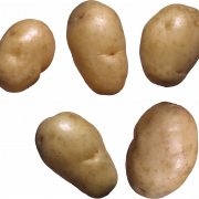 Kartoffelfreies PNG -Bild