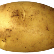 البطاطا PNG قصاصات فنية