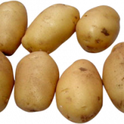 البطاطا PNG HD