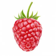 Raspberry-Hochqualität PNG