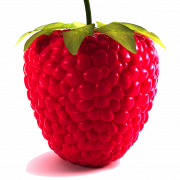 Raspberry PNG Bild