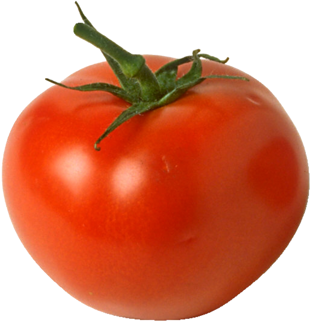 Gambar png gratis tomat