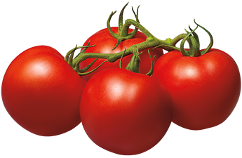Gambar png tomat