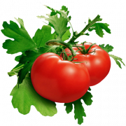 Foto png de tomate