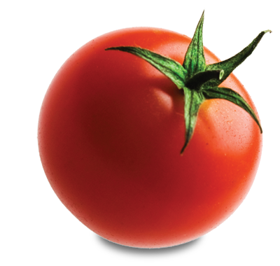 Tomato PNG Transparent Images | PNG All