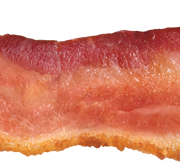 File Bacon png