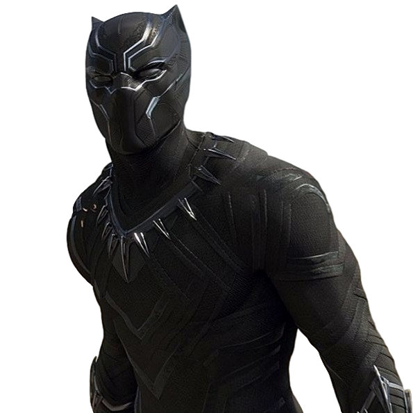Black Panther Png File Png All Png All